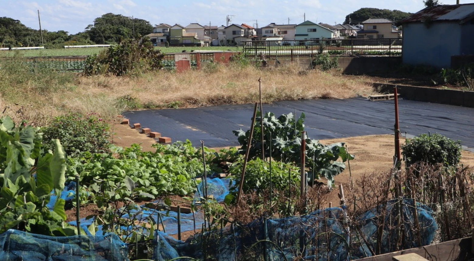 銚子市上野町_住宅用地