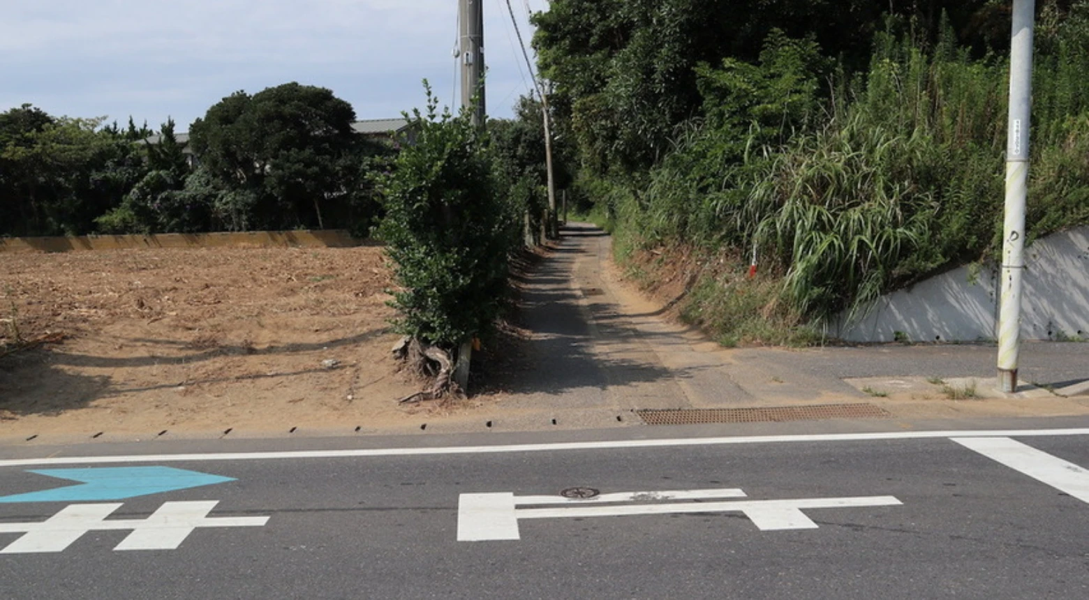 銚子市犬吠埼_300坪以上